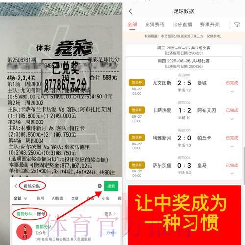 世界杯竞猜平台精选指南：如何辨别正规合法平台